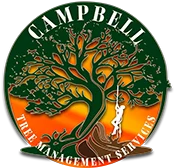 Campbell tree management services logo with SEO and keywords focus.