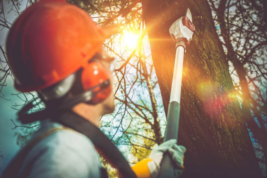 A man in a hard hat is cutting down a tree.