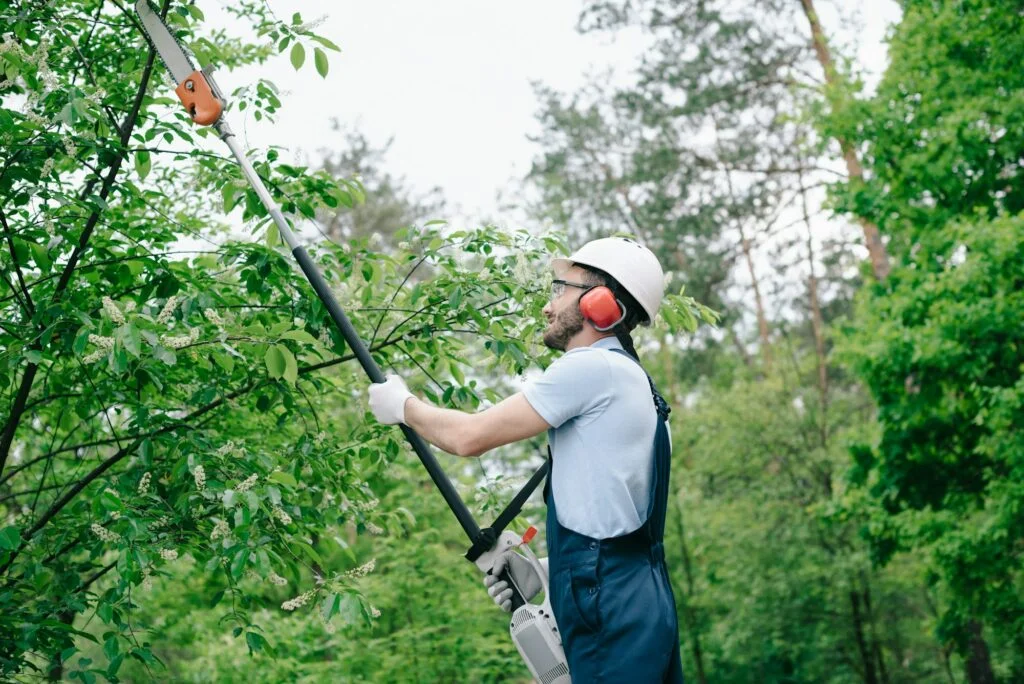 gardener in helmet and overalls trimming trees with telescopic pole saw in garden
