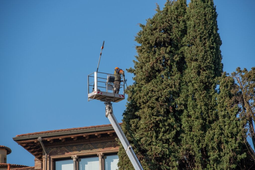 A man on a ladder on top of a tree experiences the benefits of tree pruning.