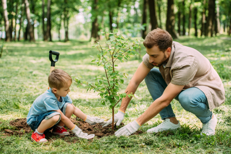 A man and a young child planting one of the best trees for Georgia in a park.