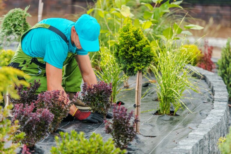 Person planting shrubs in a landscape enhancement garden bed.