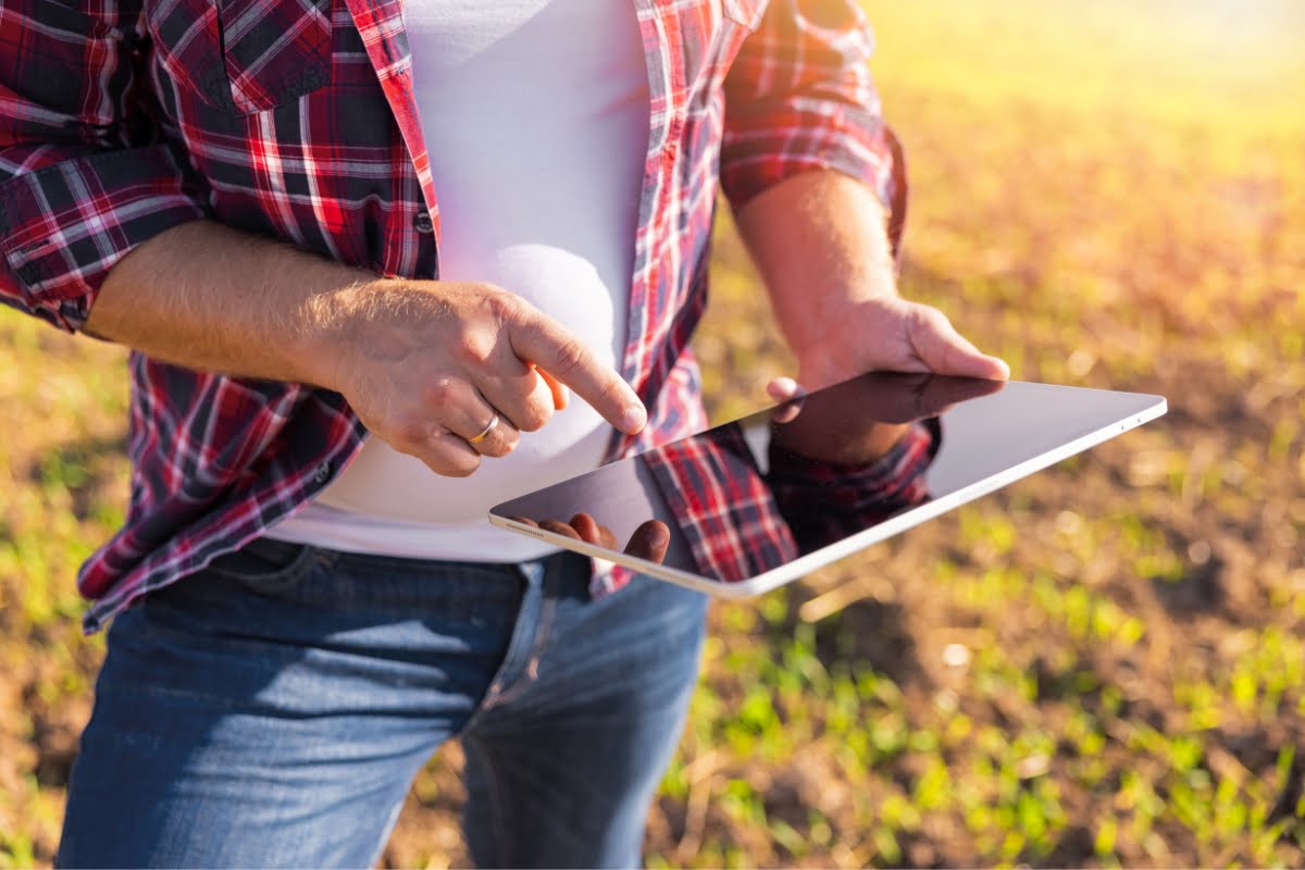 A person wearing a plaid shirt and jeans uses a tablet outdoors in a sunlit field, perhaps surveying for land clearing.