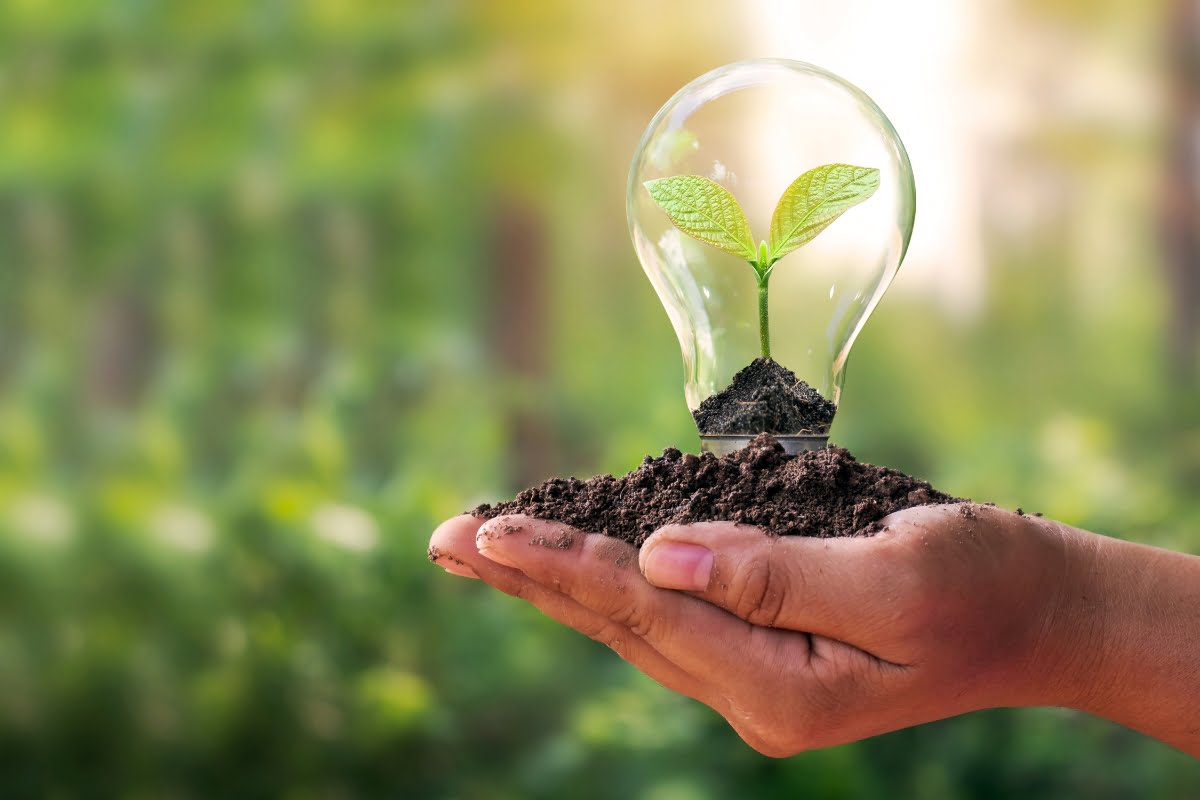 A small plant with soil is held in a light bulb-shaped container above an open palm, symbolizing growth and sustainability amidst the challenges of land clearing, against a blurred green background.