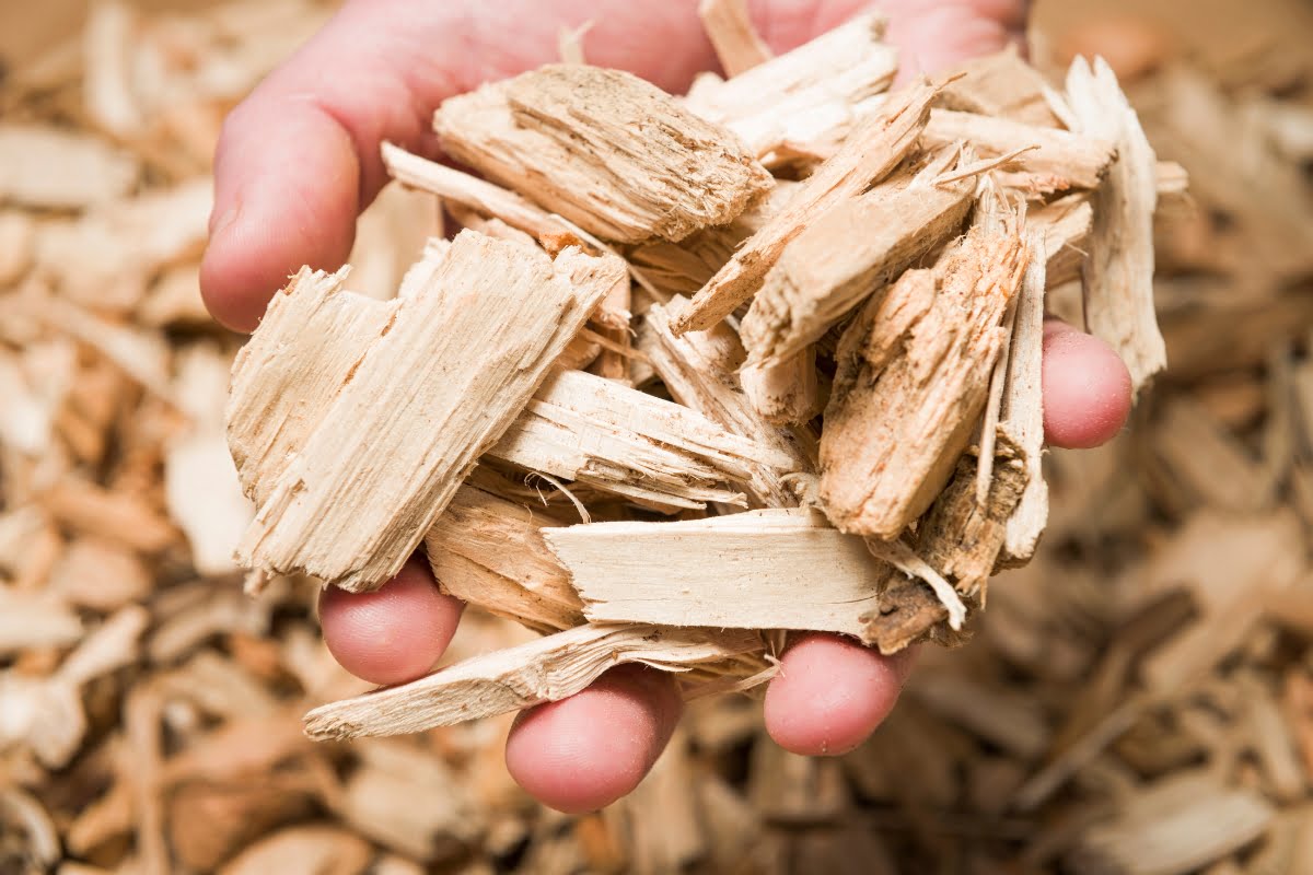 A hand holding a pile of wood chips with more wood chips in the background showcases the results of efficient wood chipping.