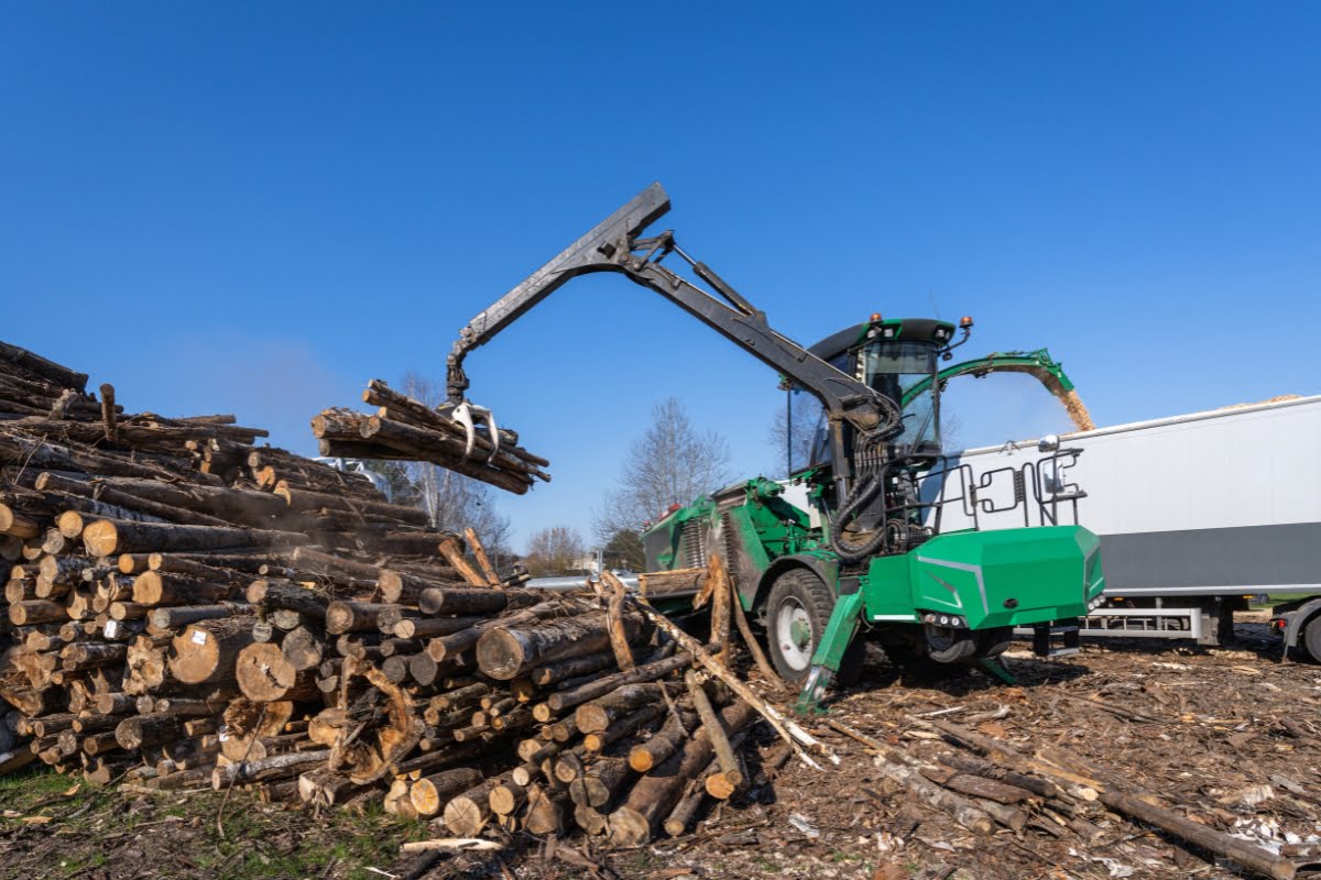 A green logging machine lifts wooden logs onto a pile at an industrial site under a clear blue sky, preparing them for wood chipping.