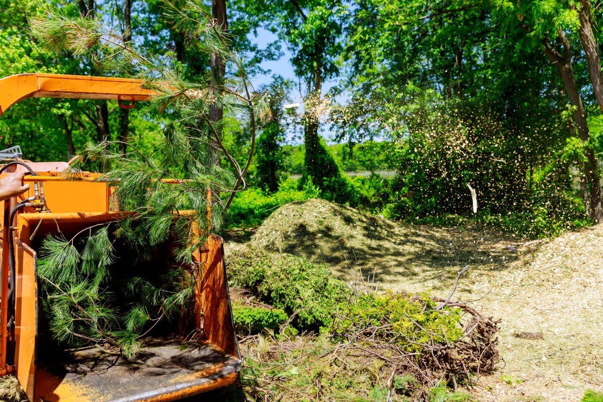 A wood chipper processes branches, efficiently carrying out wood chipping, ejecting chips into a pile surrounded by greenery in a forested area.