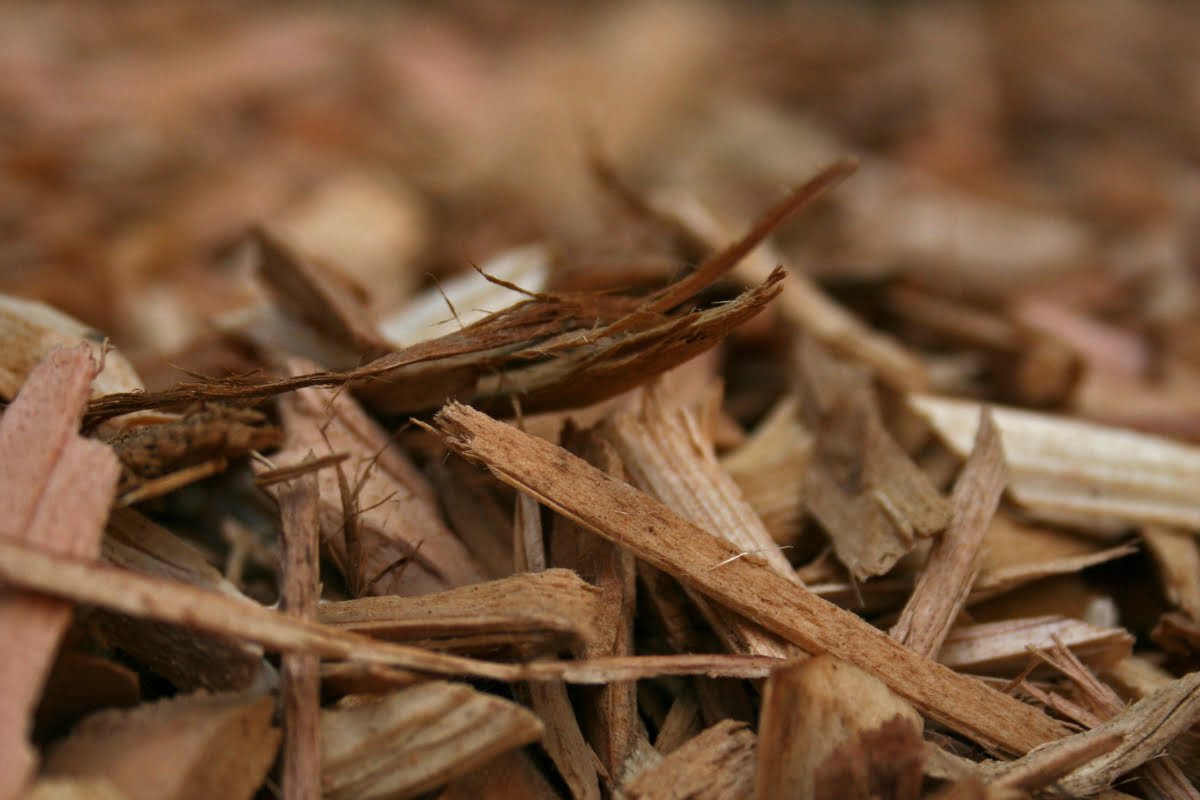 Close-up of a pile of wood chips from recent wood chipping, with various shades and textures of brown, showcasing the raw, fibrous surfaces of the chipped wood pieces.