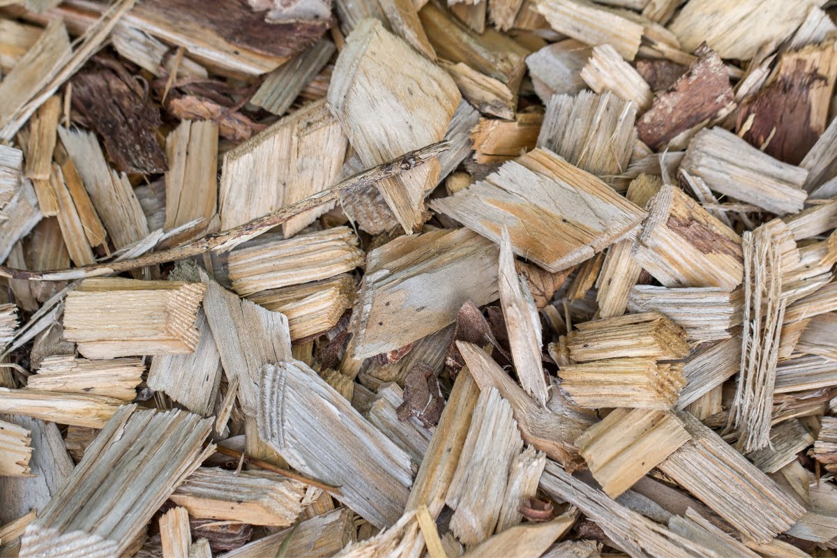 Close-up of a pile of light-colored wood chips of varying sizes and textures, showcasing the intricate results of wood chipping.