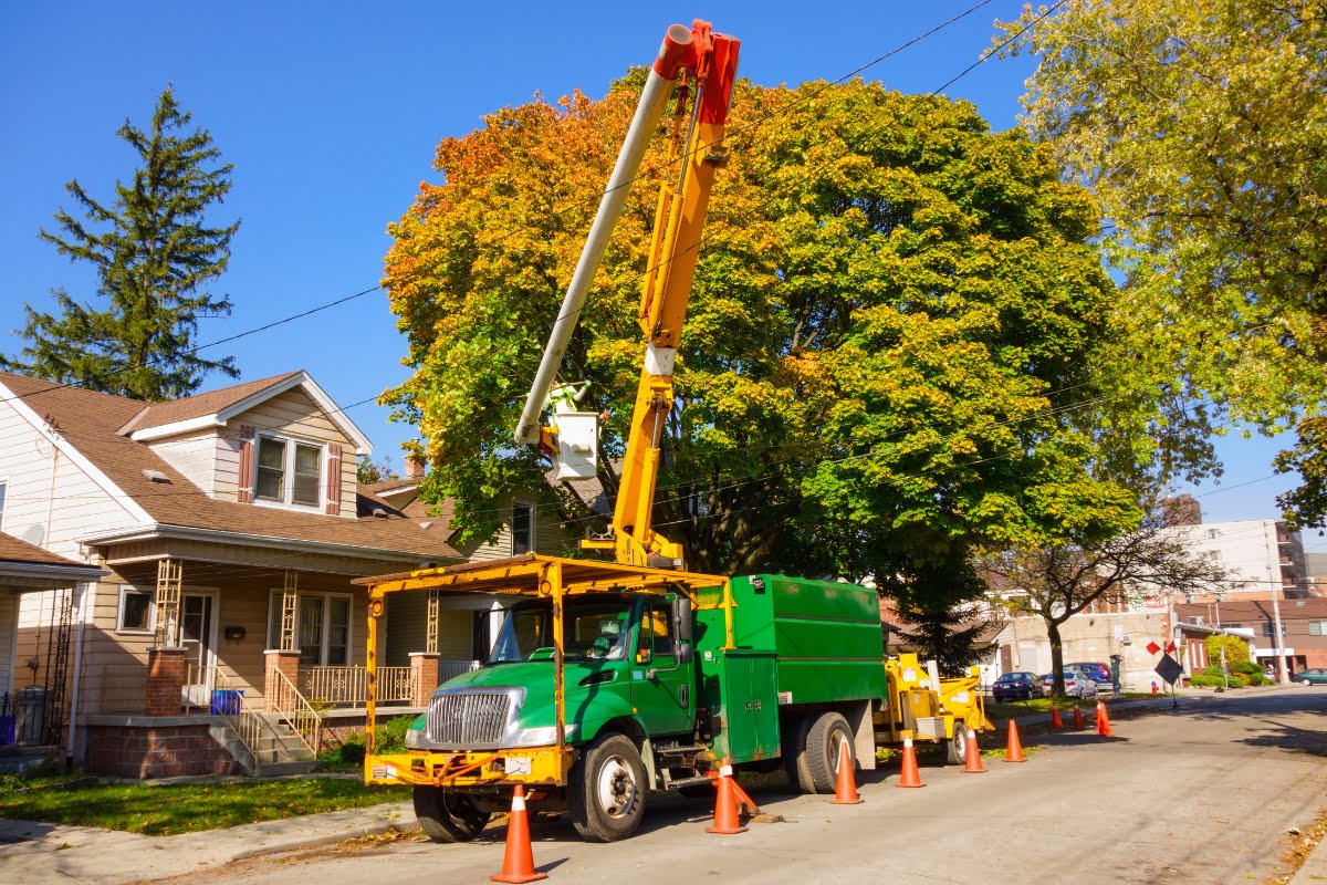 A bright green bucket truck with workers in an elevated basket performs professional tree removal, trimming a large tree near residential homes. Orange cones are placed around the truck for safety.