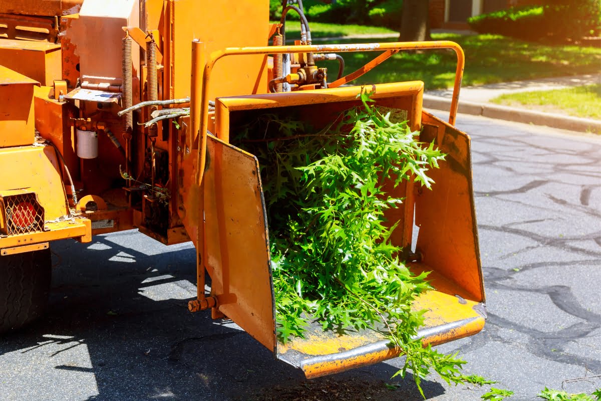 An orange wood chipper is actively processing green branches on a sunny street, showcasing the efficiency of professional tree removal.