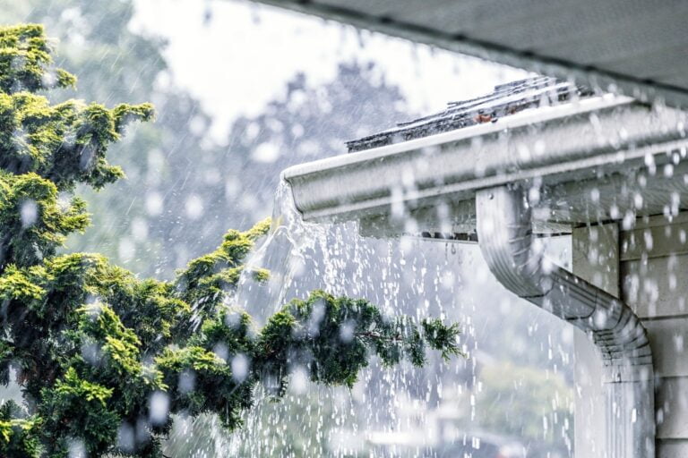 Heavy rain pours off the edge of a roof, overflowing from a rain gutter beside a pine tree, highlighting the need for storm proofing your home.