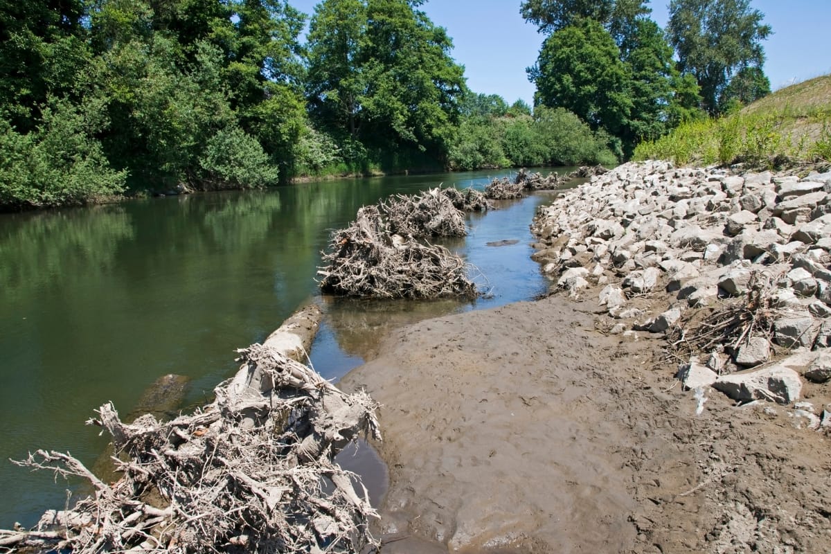 A river with clear water flows past a rocky shoreline and tree debris, surrounded by lush green trees, showcasing nature's resilience in the face of Georgia storm damage.