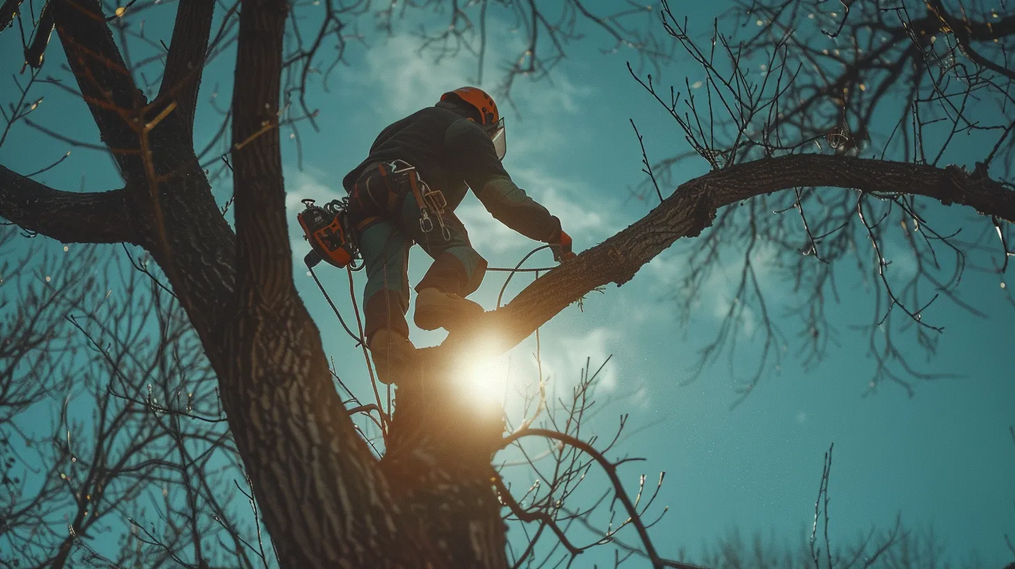 a person pruning a tree