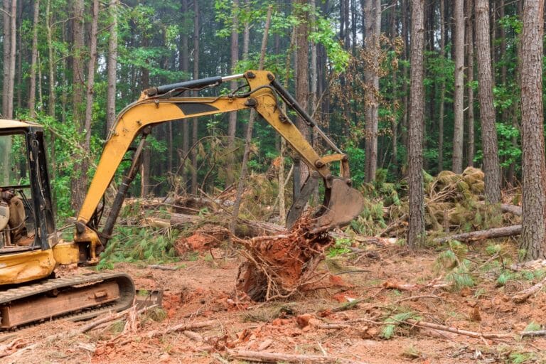 An excavator efficiently handles affordable stump removal in a forested area, surrounded by fallen trees and disturbed soil.