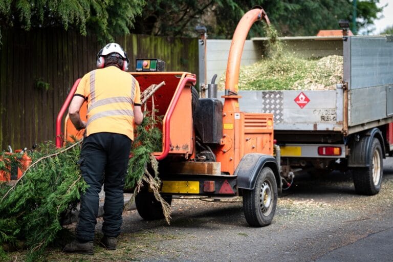 A worker feeds branches into a wood chipper, efficiently demonstrating the benefits of wood chipping services as the wood chips are collected in a truck bed nearby.