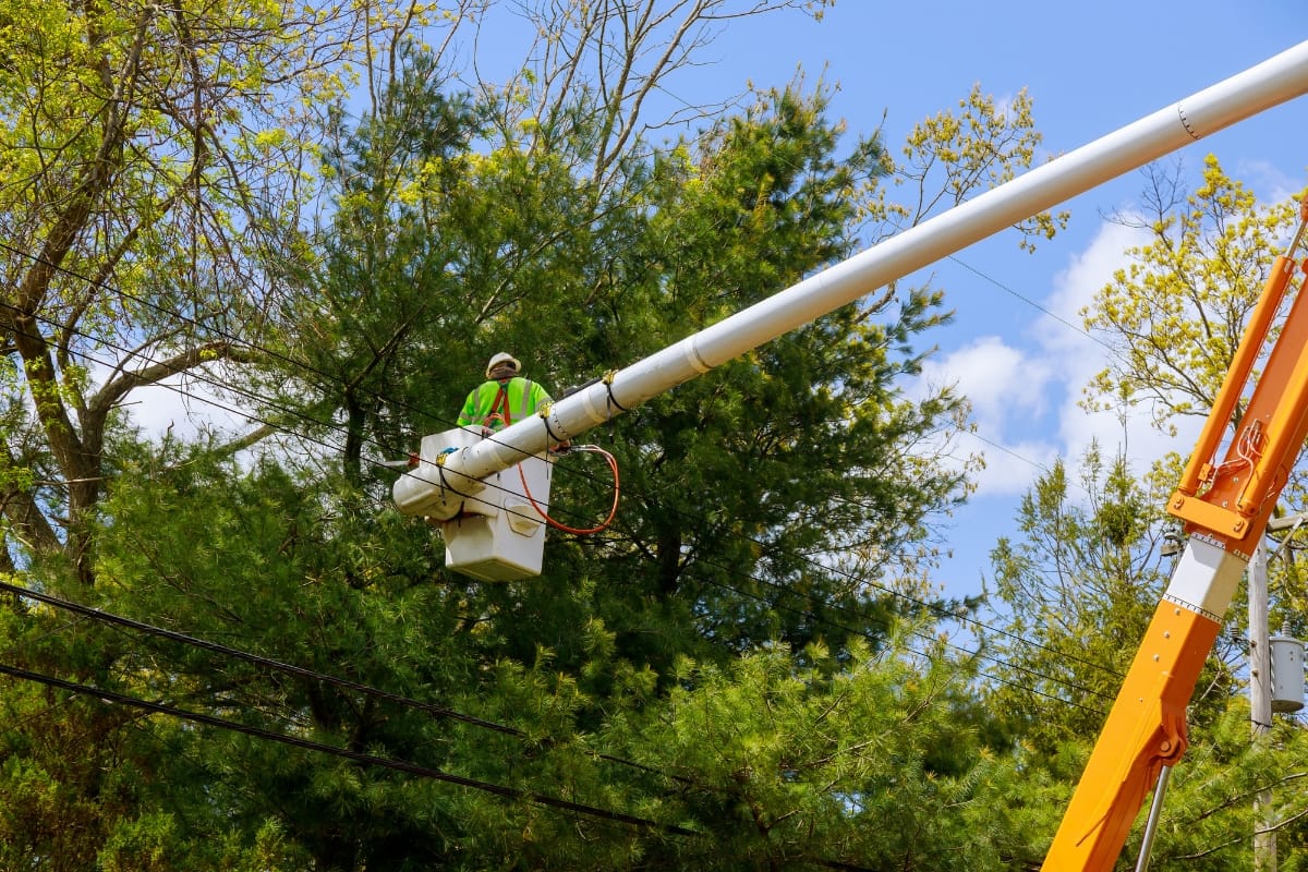 A utility worker in a bucket lift repairs equipment near power lines and provides tree trimming services in Norcross among tall green trees under a blue sky.