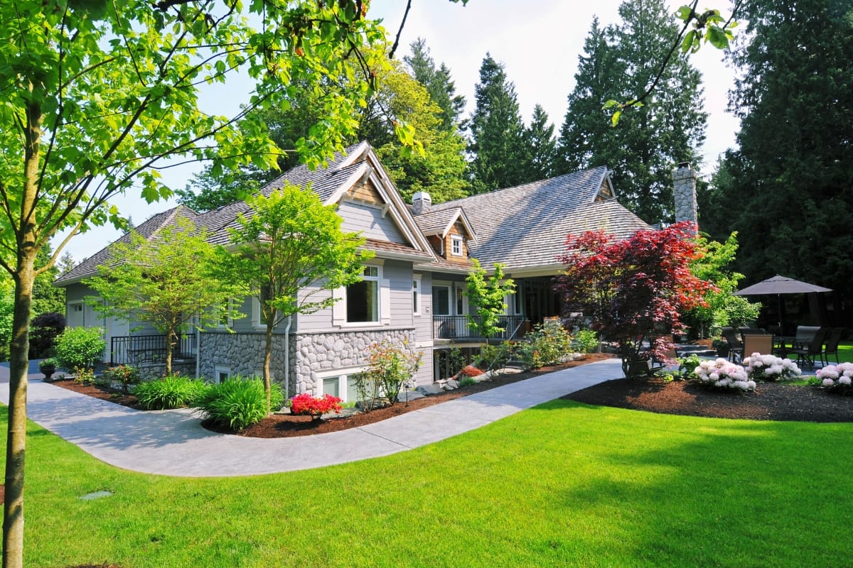 A gray house with stone accents is surrounded by a landscaped yard featuring some of the best trees, along with shrubs, flowers, and a paved walkway leading to the entrance.