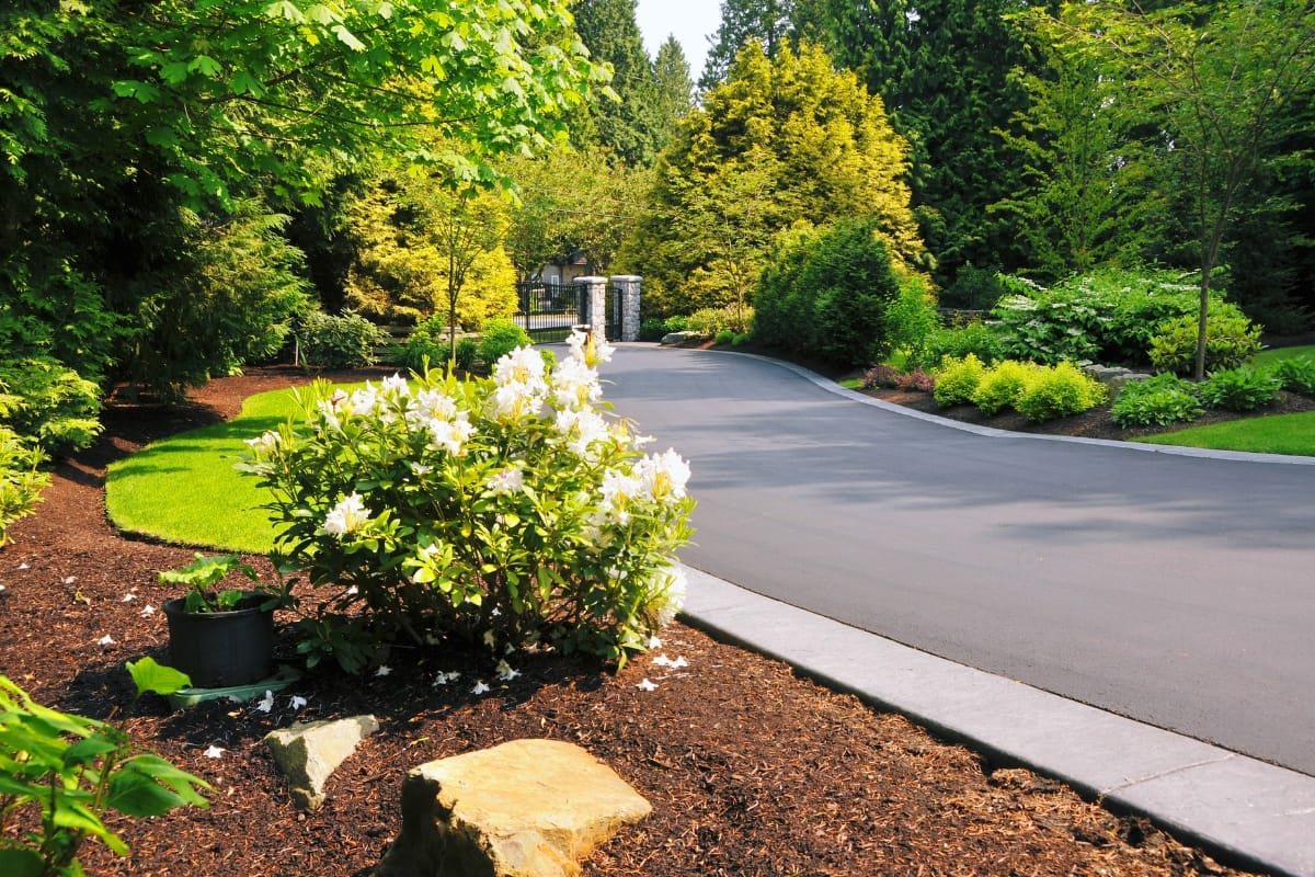 A freshly paved driveway curves through a landscaped garden with green grass, shrubs, flowers, and some of the best trees on a sunny day.