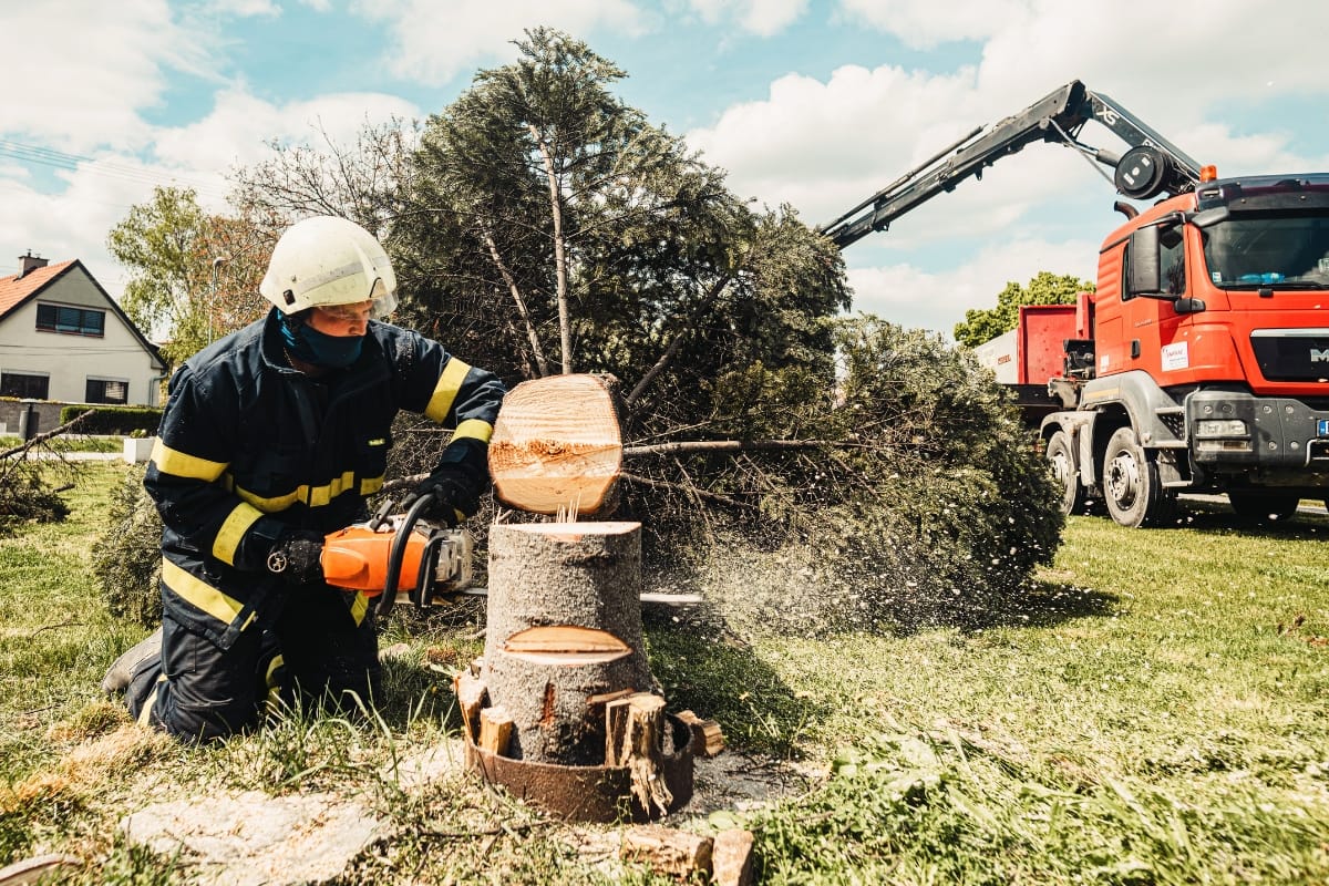 A firefighter in protective gear uses a chainsaw to cut a tree trunk during dead tree removal, with a fallen tree and a red utility truck in the background.