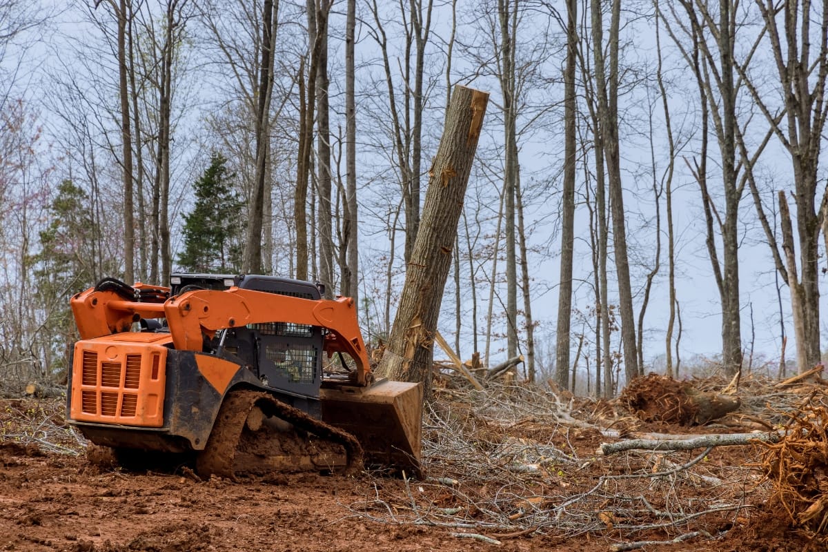 A small orange bulldozer pushes a felled tree trunk on muddy ground in a forested area with leafless trees, showcasing hazardous tree removal in progress.