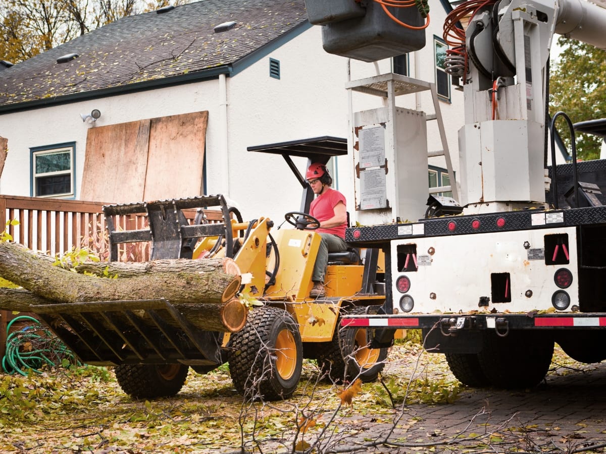 A worker operates a small front loader to move a large tree trunk near a house as part of fallen tree cleanup, with a utility truck parked nearby.