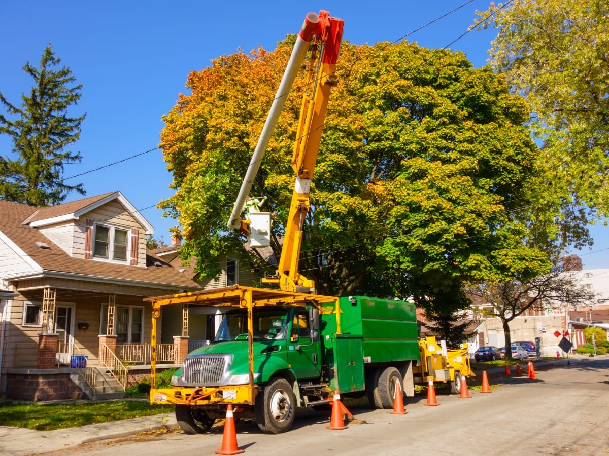A utility truck with an elevated bucket lifts a worker to trim tree branches near power lines on a residential street, surrounded by orange traffic cones during fallen tree cleanup.